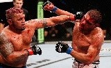  UFC 180: Werdum vs Hunt